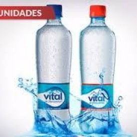 Vital 600 ML x 12
